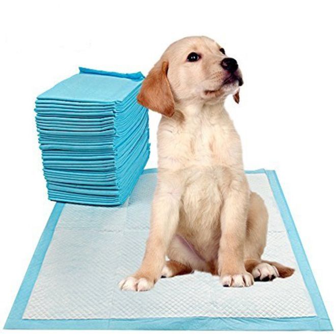 Podložky pro psy, které se učí čůrat 45x60 50 kusů