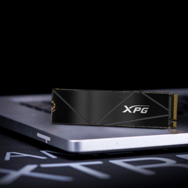 XPG GAMMIX S50 CORE 2TB PCIe 4x4 3,5/2,8 M2 SSD