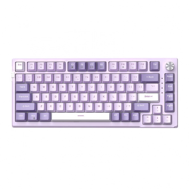 MageGee SKY81 wired keyboard (purple)