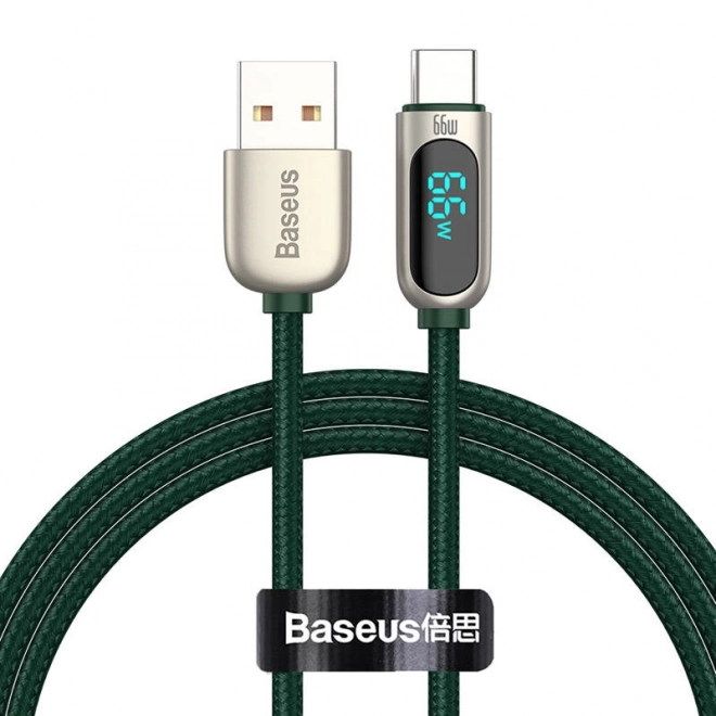 Baseus Kabel displeje USB k Type-C, 66W, 1m (zelený)