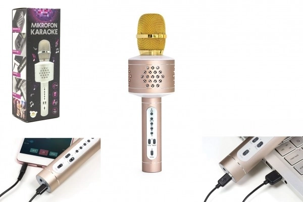 Mikrofon karaoke Bluetooth na baterie s USB kabelem v krabici 10x28x8,5cm – Stříbrný