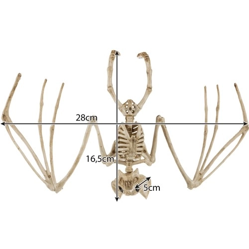 Kostra netopýra - dekorace 30 cm Malatec