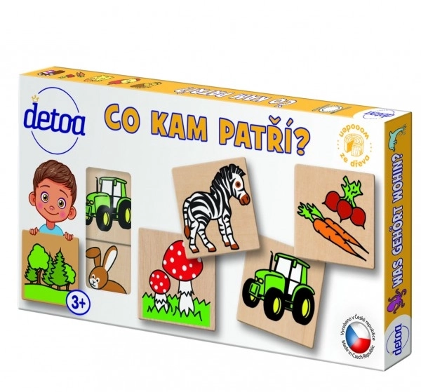 Didaktická hra - Co kam patří? 36 dílků