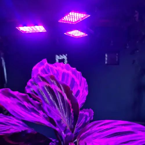 Lampa 108 LED pro růst rostlin Gardlov 20440