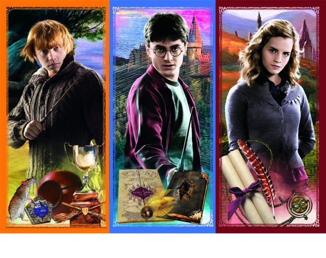 Puzzle Harry Potter: Ve světě magie a čarodějnictví