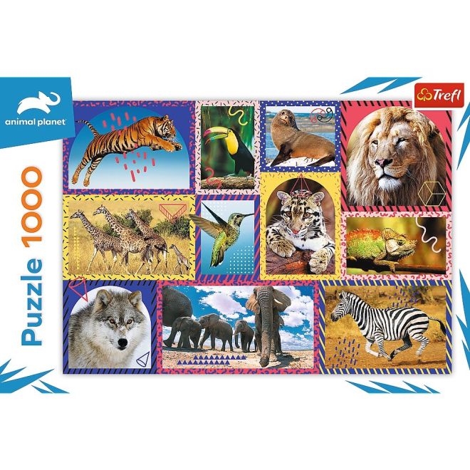 Puzzle 1000 prvků Wildlife Animal Planet