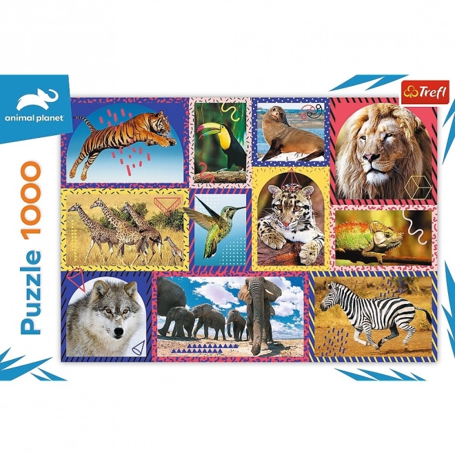 Puzzle 1000 prvků Wildlife Animal Planet