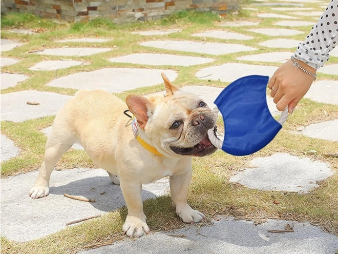 Žvýkací hračka pro psy přetahování lanem frisbee disk