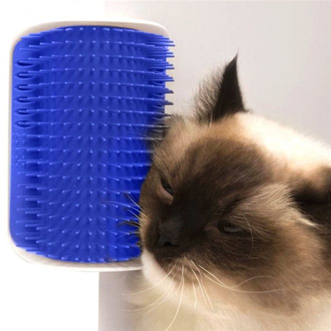 Připevňovací drbátko pro kočky – Modré