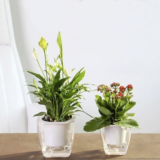 Samozavlažovací květináč / květináč - malý