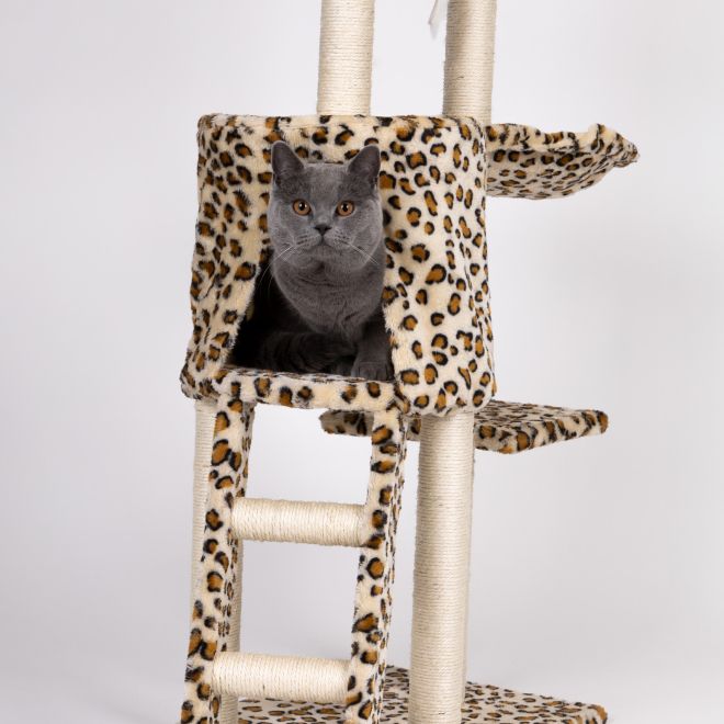 Škrabadlo pro kočky, domeček, strom, pelíšek, 138cm xl, Panther