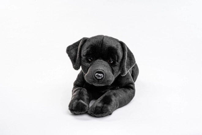 Plyš Labrador 71 cm - ECO-FRIENDLY