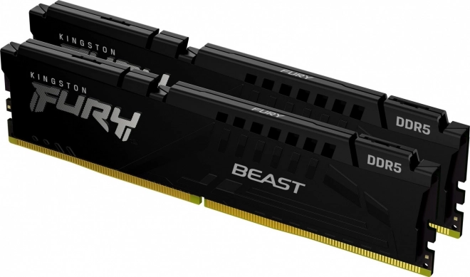 Paměť DDR5 Fury Beast Black 16GB(2*8GB)/5600 CL40