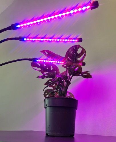 Lampa 20 LED 3 ks pro růst rostlin Gardlov 19242