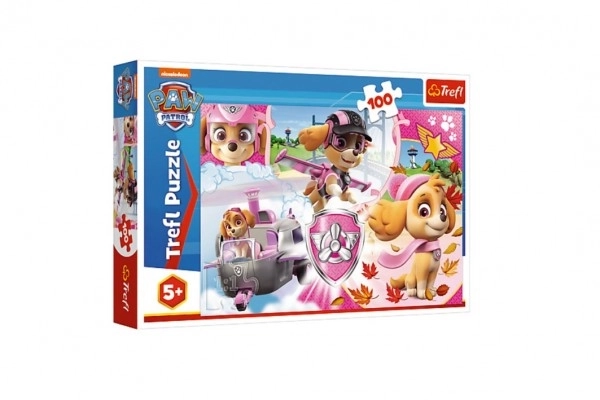 Puzzle Paw Patrol/Tlapková patrola Skye v akci 41x27,5cm 100 dílků v krabici 29x19x4cm