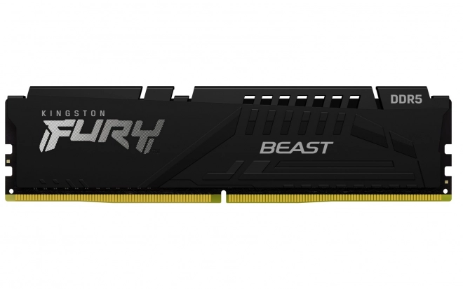 Paměť DDR5 Fury Beast 32GB(1*32GB)/6000 CL30 EXPO černá