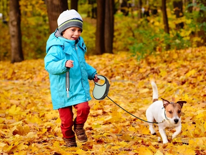 Automatický popruh na vodítko pro psy s aretací 5 m 15 kg