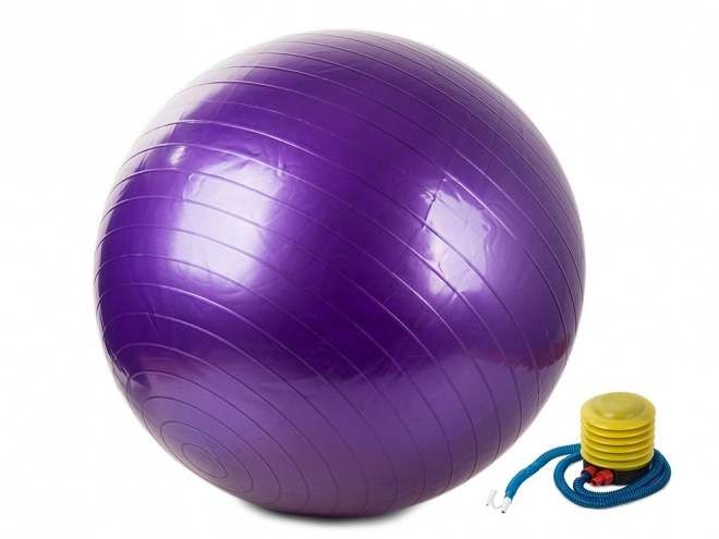 Gymnastický / rehabilitační míč + pumpa 65cm fialový