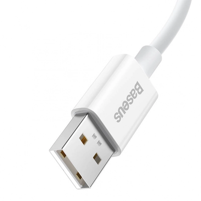 Kabel Baseus Superior Series USB-C, 65W, PD, 1 m (bílý)