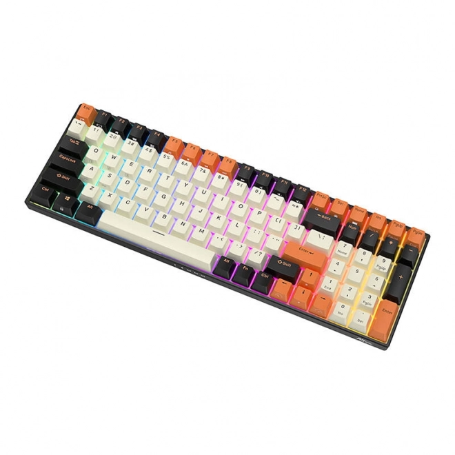 Mechanická klávesnice Royal Kludge RK100 RGB, hnědý spínač (černo-oranžový)