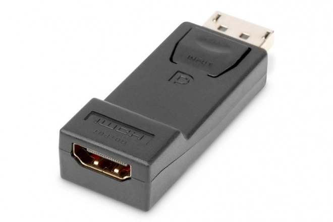 Displayport 1080p 60Hz FHD Typ DP/HDMI A M/Z Černý adaptér