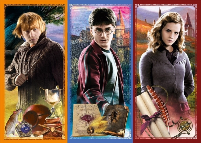 Puzzle Harry Potter: Ve světě magie a čarodějnictví