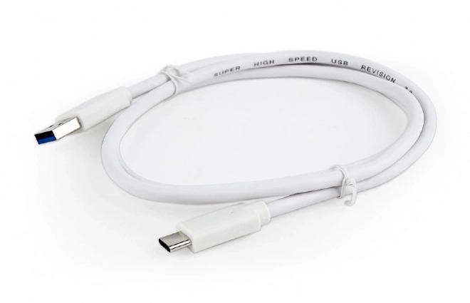 Kabel USB 3.0 C AM/CM 1m/bílý