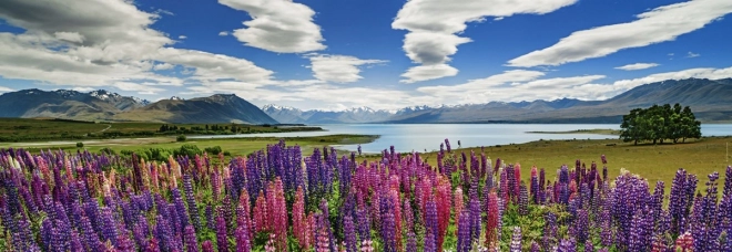 Puzzle 1000 prvků Lake Tekapo