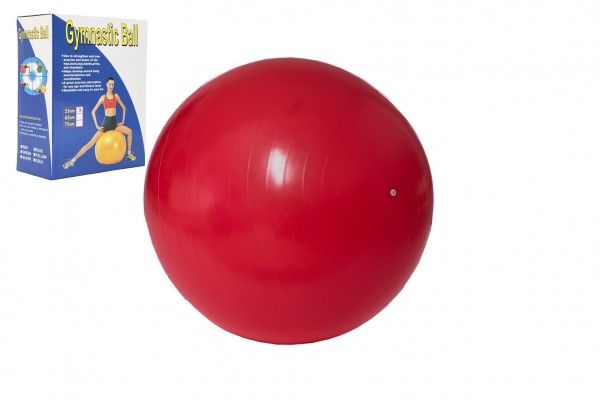 Gymnastický míč - 55 cm