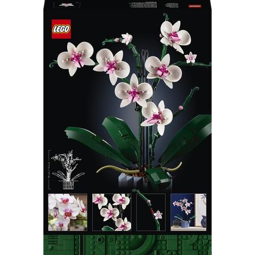 LEGO Icons 10311 Orchidej