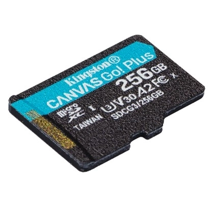 Karta MicroSD 256GB Canvas Go Plus 170/90MB/s