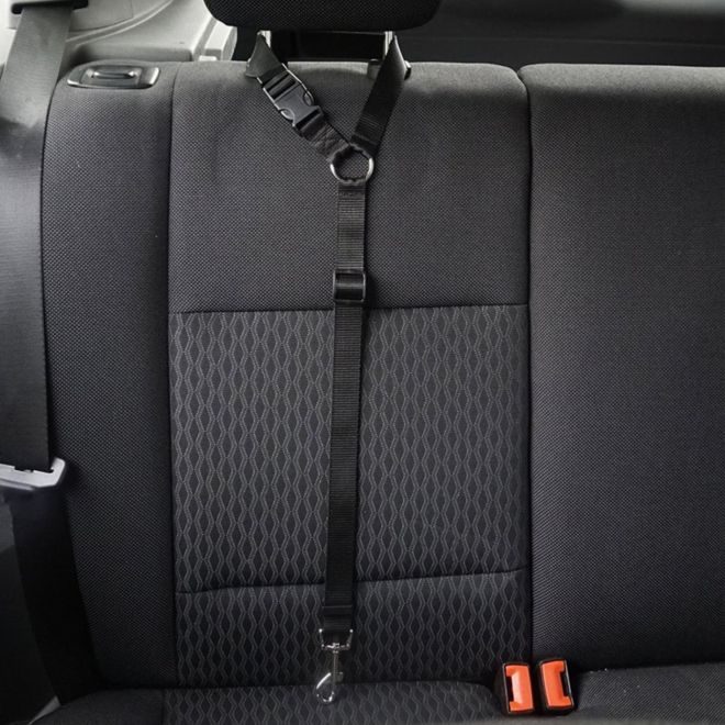 Vodítko na bezpečnostní pásy do auta pro psa a kočku