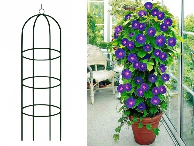 Zahradní pergola pro popínavé rostliny