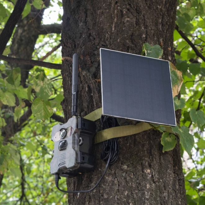 Kamera se solárním panelem pro pozorování