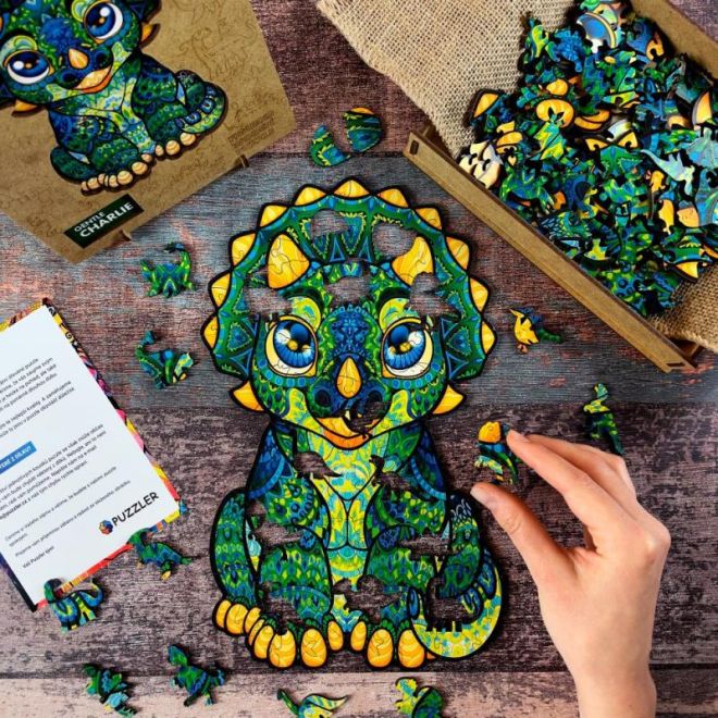 Magické dřevěné barevné puzzle - Milý Charlie