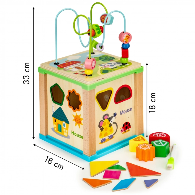 Dřevěný třídič vzdělávací kostka + třídič desek Ecotoys,