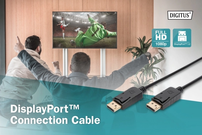 Propojovací kabel DisplayPort s 1080p 60Hz FHD snap-on typ DP/DP M/M černý 15m