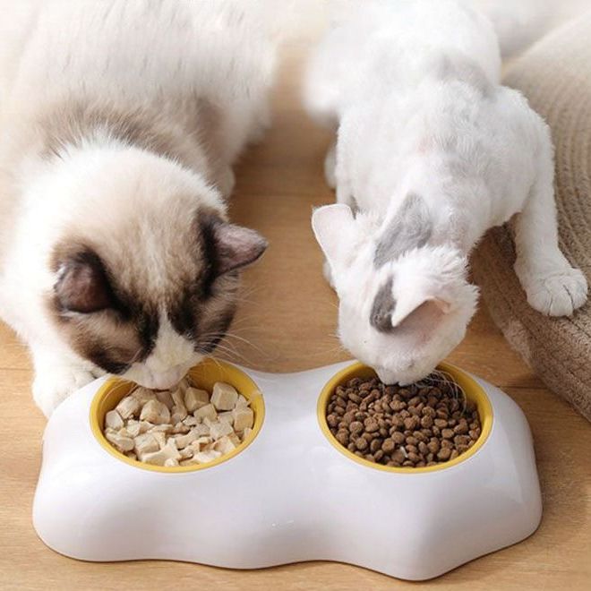 Dvojitá miska pro psy a kočky - žlutá