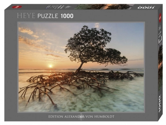 Puzzle 1000 prvků - Mangrovy při východu slunce