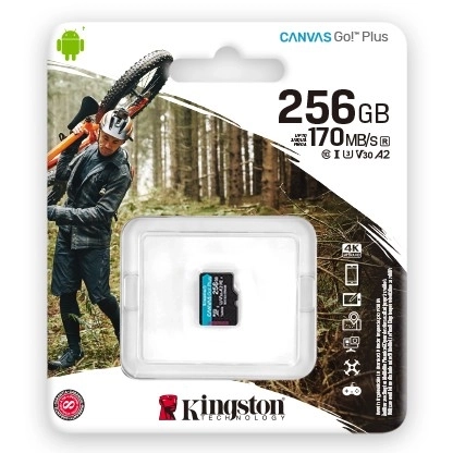 Karta MicroSD 256GB Canvas Go Plus 170/90MB/s