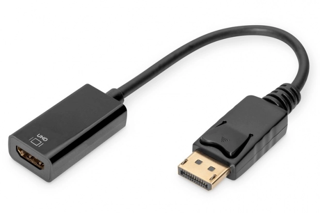 Adaptační kabel DisplayPort s klipem 1080p 60Hz FHD Typ DP/HDMI A M/Z 0,2 m černý