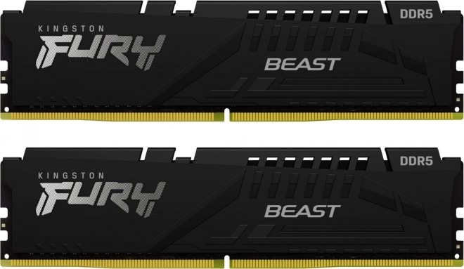 Paměť DDR5 Fury Beast Black 64GB(2*32GB)/5600 CL36