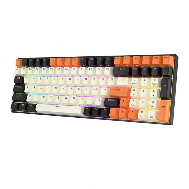 Mechanická klávesnice Royal Kludge RK100 RGB, hnědý spínač (černo-oranžový)