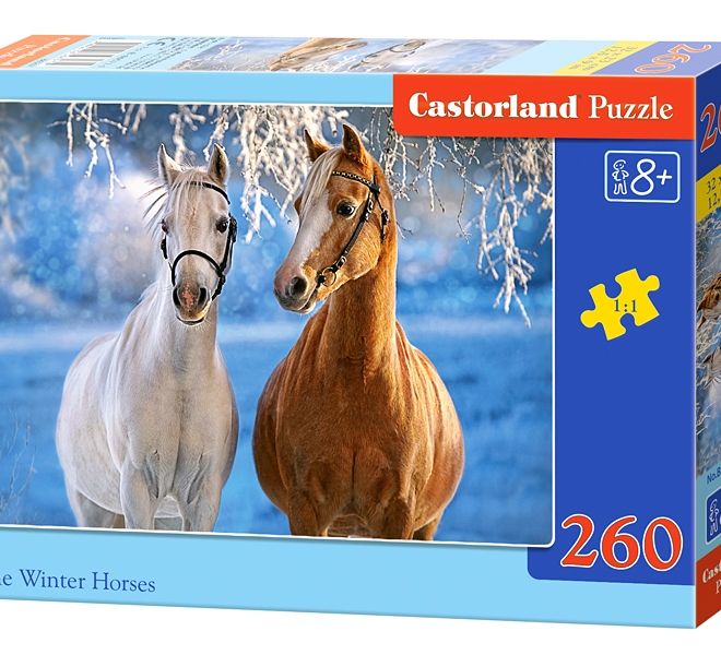 CASTORLAND Puzzle 260 dílků Zimní koně 8+