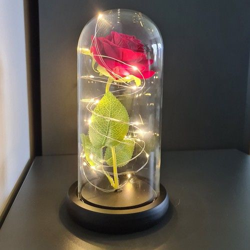 Růže ve skle - zářící