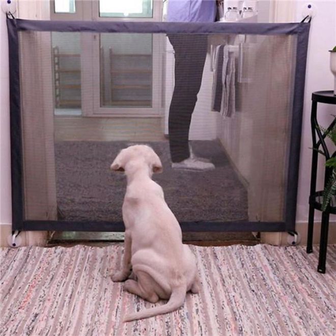 Bezpečnostní branka do dveří pro psy/kočky (š 183 x v 75 cm)