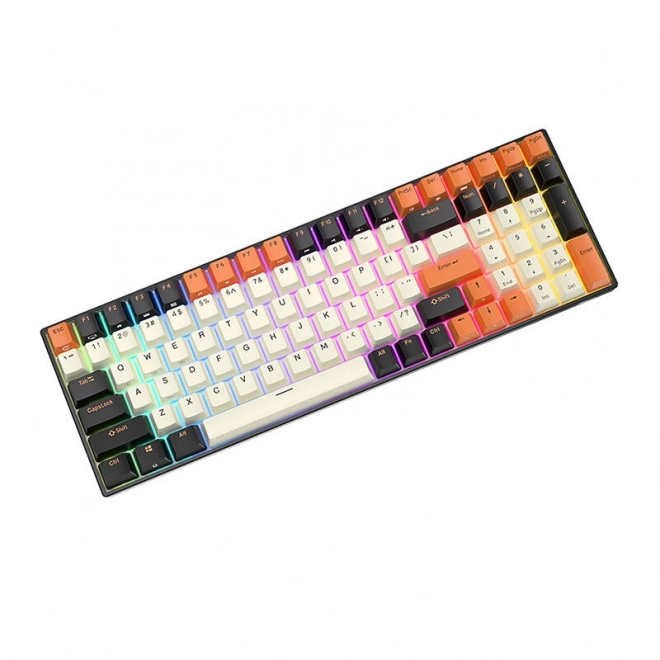 Mechanická klávesnice Royal Kludge RK100 RGB, hnědý spínač (černo-oranžový)