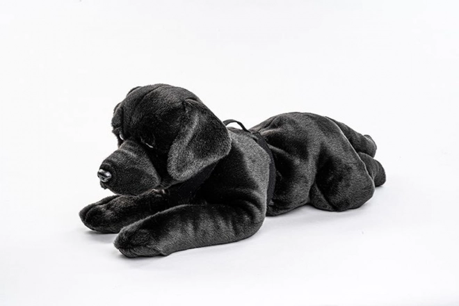 Plyš Labrador 71 cm - ECO-FRIENDLY