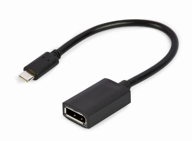 Adaptér USB-C na DisplayPort 4K 15 cm