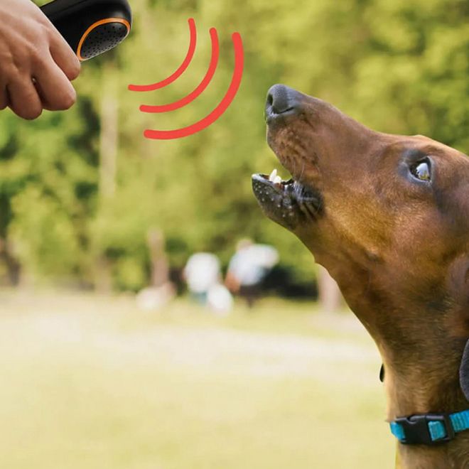 Elektronický ultrazvukový odpuzovač psů